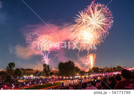 《東京都》いたばし花火大会・夏イメージ 56773786