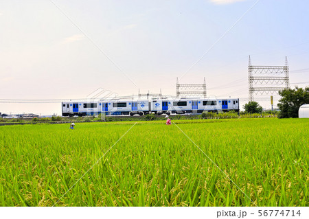 香椎線 蓄電池電車クモハBEC819系 稲穂と案山子 香椎線 蓄電池電車クモハBEC819系 稲穂と案山子 56774714