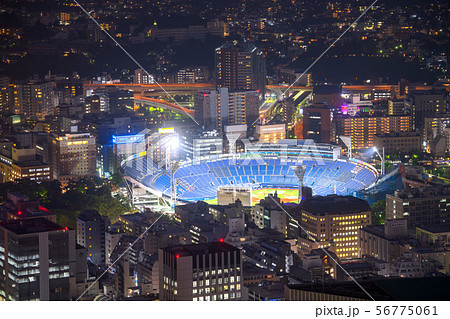日本の横浜都市景観　横浜スタジアム（夜景） 56775061