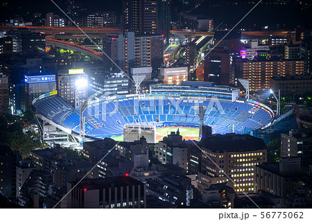 日本の横浜都市景観 横浜スタジアム(夜景) 日本の横浜都市景観 横浜スタジアム(夜景) 56775062