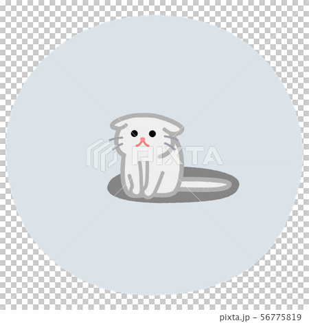 怯える猫 カットイラスト  56775819