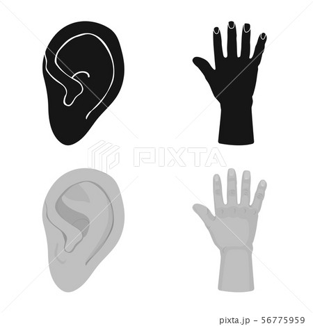 Isolated object of body and part logo. Collection of body and anatomy stock symbol for web. Isolated object of body and part logo. Collection of body and anatomy stock symbol for web. 56775959