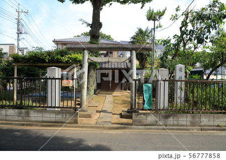 足立区　伊興　菅原神社 56777858