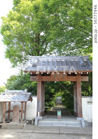足立区 伊興 医王山薬師寺 山門 縦構図 足立区 伊興 医王山薬師寺 山門 縦構図 56777946