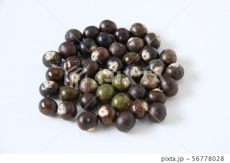 アマゾン産のアサイー 56778028