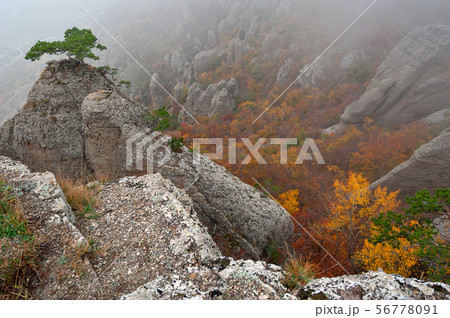 Rocks and autumn forest Rocks and autumn forest 56778091