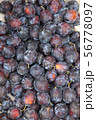 Ripe blue plum, farmers market. 56778097