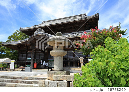 防府　周防国分寺　金堂　百日紅 56778249