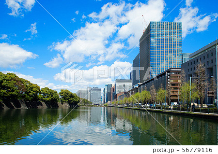 日比谷濠沿いの枝垂れ柳の若葉と青い空　ビル街　日比谷通り沿い 56779116