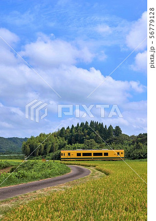 千葉県　いすみ鉄道　実りの田んぼと踏切 56779128