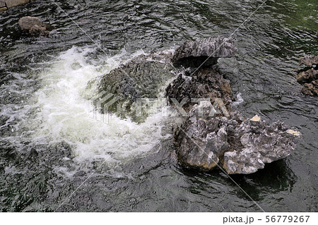 白鳥庭園点景 56779267