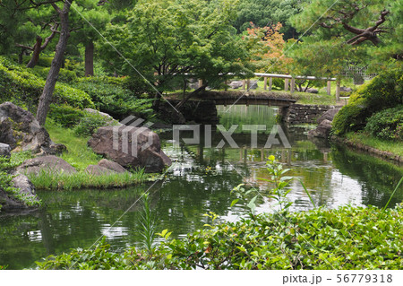 白鳥庭園点景 56779318