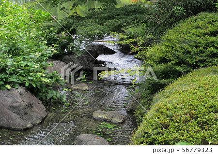 白鳥庭園点景 白鳥庭園点景 56779323