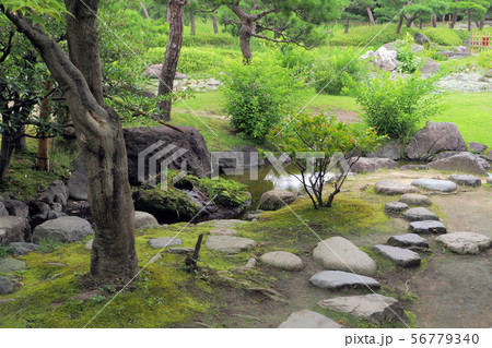 白鳥庭園点景 56779340