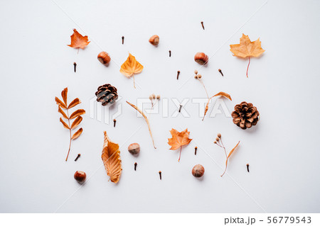 Autumn pattern made of dried leaves and pine cones 56779543