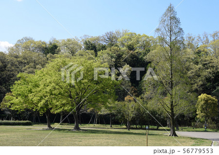 平和公園点景 56779553