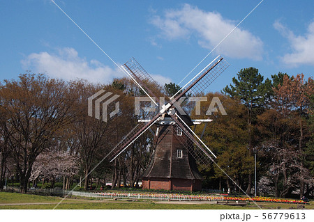 名古屋城点景 名古屋城点景 56779613
