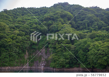 赤谷湖　群馬県みなかみ町 56779652