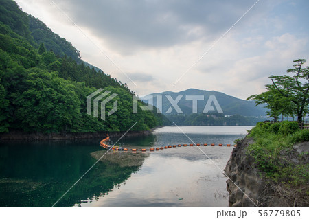赤谷湖　群馬県みなかみ町 56779805