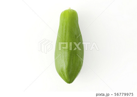 パパイヤ 56779975