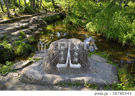 分水嶺公園　ひるがの公園（岐阜県郡上市高鷲町） 56780343
