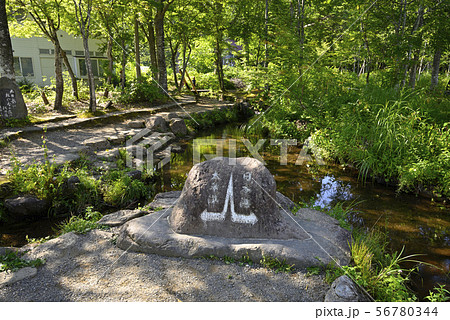 分水嶺公園　ひるがの公園（岐阜県郡上市高鷲町） 56780344