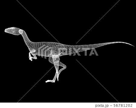 raptor dinosaurs ,3d rendering wire frame raptor dinosaurs ,3d rendering wire frame 56781202