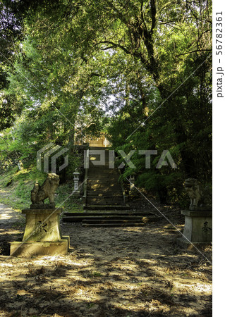 星尾神社 岡山県井原市美星町 星尾神社 岡山県井原市美星町 56782361