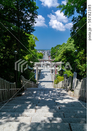 宮地嶽神社光の道 56782385