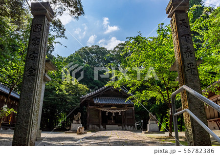 五所八幡宮 56782386