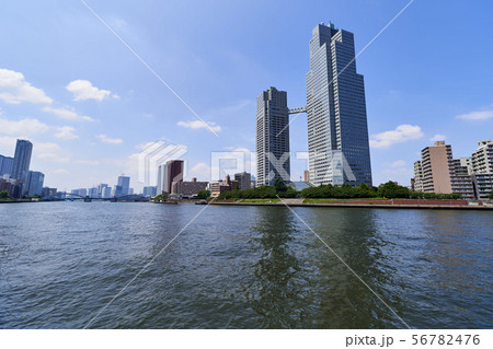 聖路加ガーデンと隅田川の風景 56782476