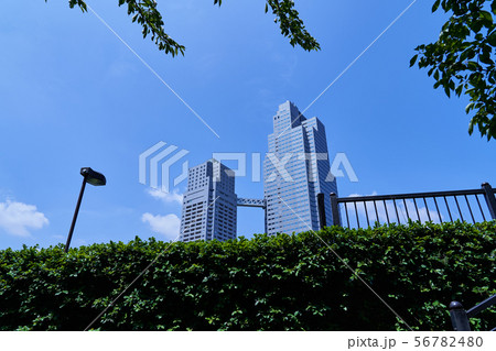 都市風景　高層ビル　聖路加タワー 56782480