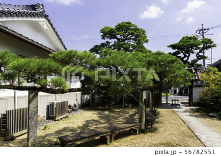 専教寺　岡山県矢掛町 56782551