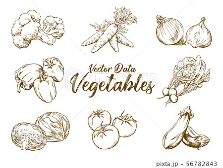 手描きイラスト素材 野菜セット ペン画のイラスト素材