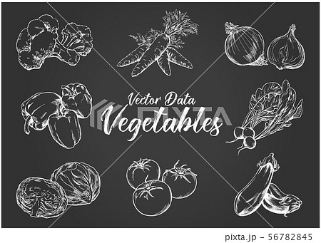 手描きイラスト素材 野菜セット チョークアートのイラスト素材
