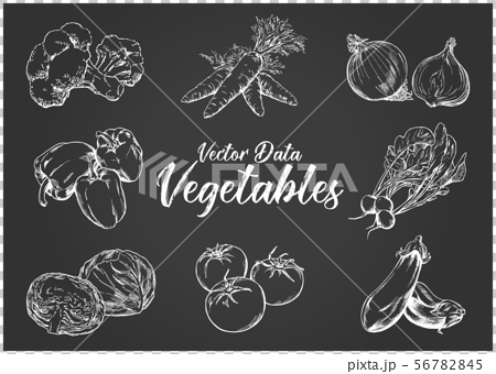手描きイラスト素材 野菜セット チョークアートのイラスト素材