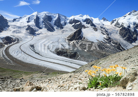 ピッツ・ベルニナ　モルテラッチ氷河　ディアヴォレッツァ展望より 56782898