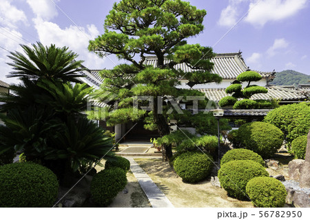 多聞寺　岡山県矢掛町 56782950