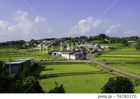 里山風景　晩夏の田んぼ　星尾神社からの眺め　岡山県井原市美星町 56783370