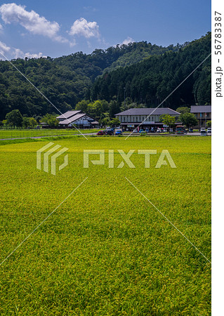 コウノトリの郷公園 56783387