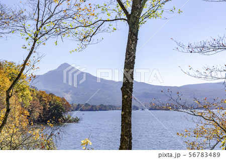福島県裏磐梯の秋 56783489