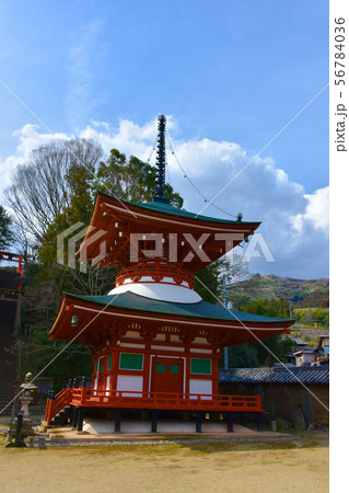 慈尊院 多宝塔 女人高野 慈尊院 多宝塔 女人高野 56784036
