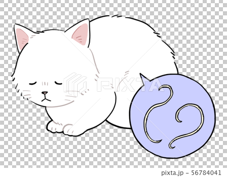 元気がない猫 元気がない猫 56784041