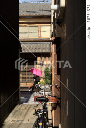 宮川町の街並み・路地 宮川町の街並み・路地 56784371