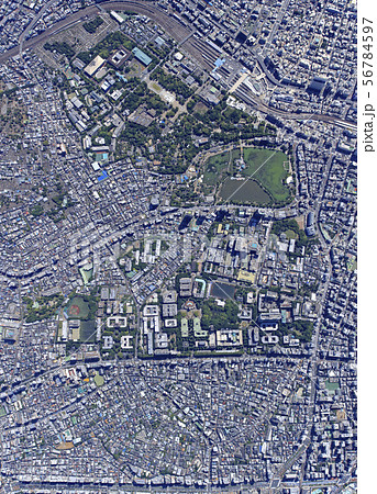 本郷~上野上空真俯瞰/Aerial view、2019撮影 本郷~上野上空真俯瞰/Aerial view、2019撮影 56784597