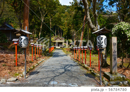 日吉大社 西本宮 白山宮　参道 56784780