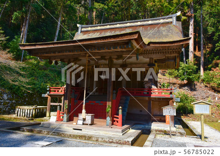 日吉大社 西本宮 白山宮 日吉大社 西本宮 白山宮 56785022