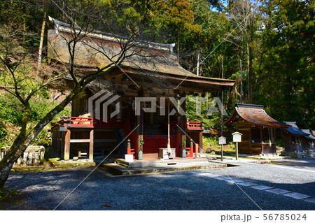 日吉大社 西本宮 白山宮 56785024