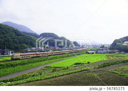 高松より折り返して琴平へ向かう寝台特急サンライズ瀬戸（285系）　 56785275