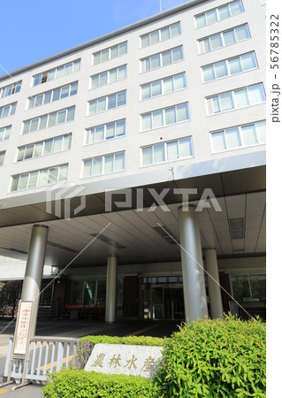 農林水産省 56785322